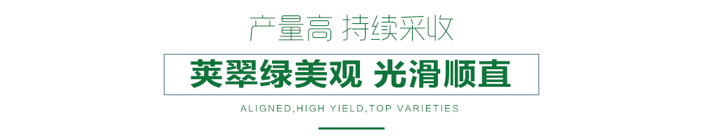 1557990372550024.jpg 詳情頁(yè)24.jpg