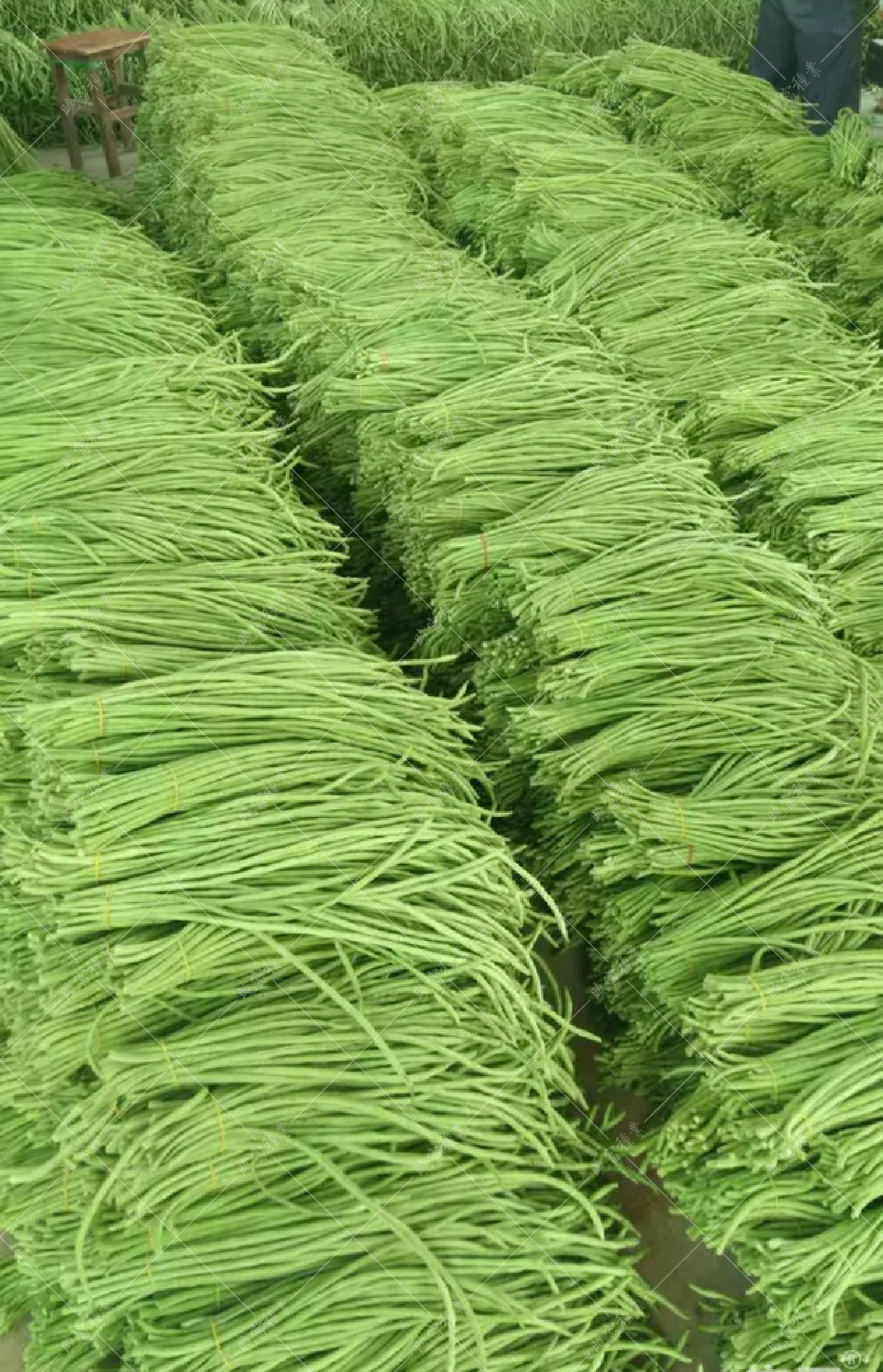 1557990377439073.jpg 未標(biāo)題-1.jpg