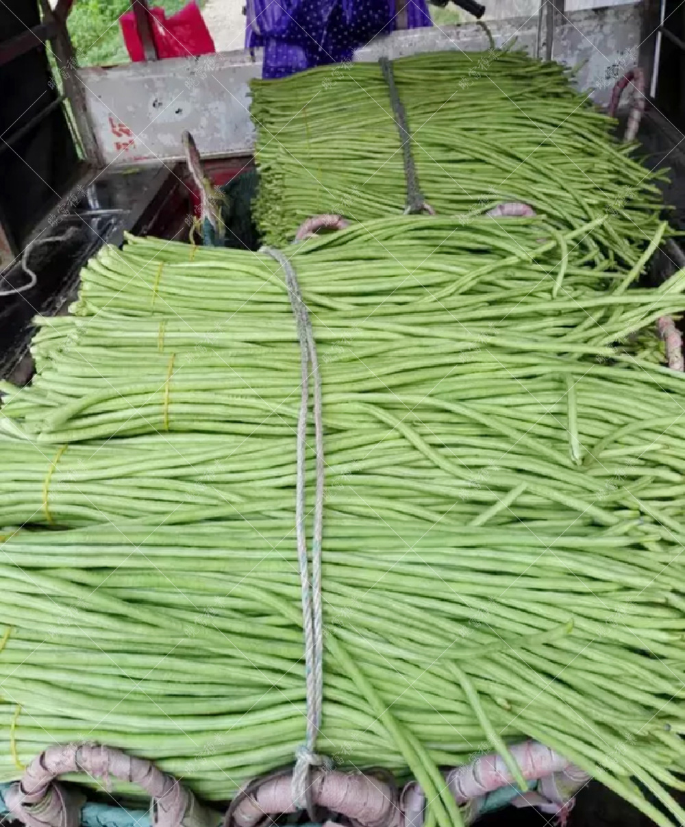 1557994044590377.jpg 53.jpg