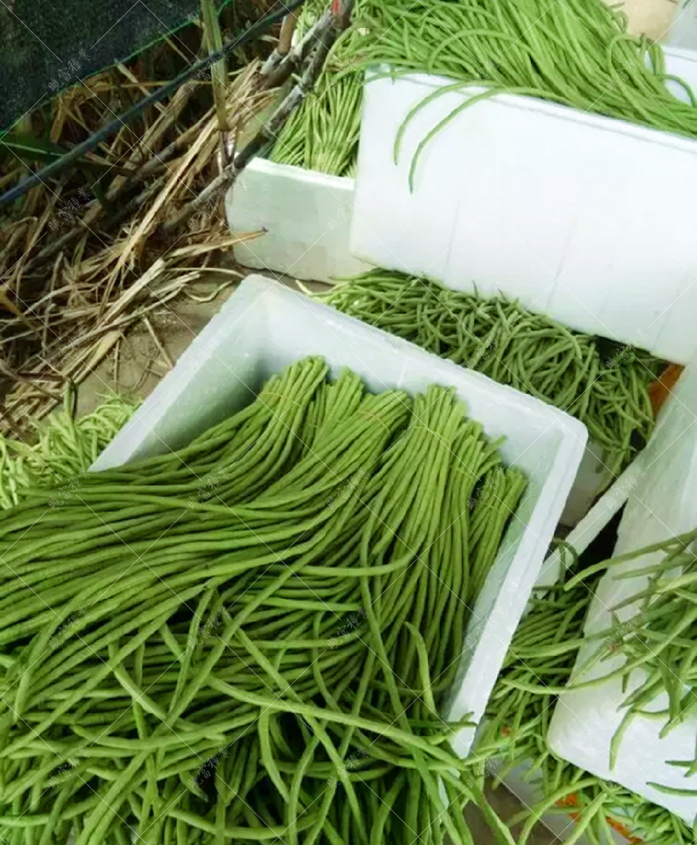 1558056287817265.jpg 54.jpg