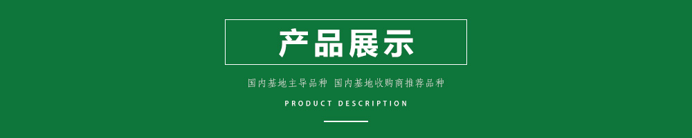 1558596954146154.jpg 00新產(chǎn)品.jpg