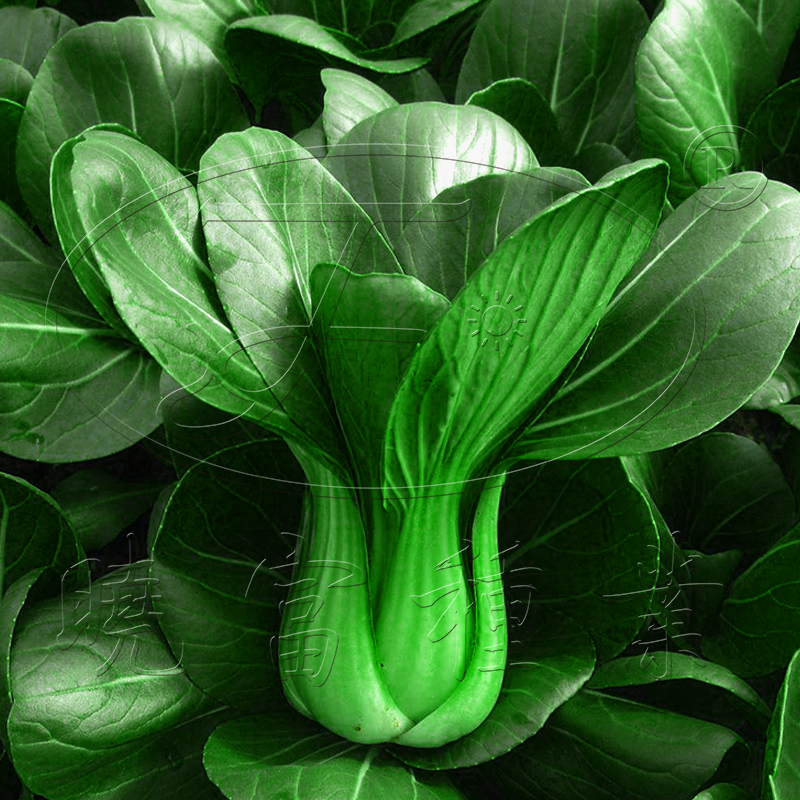 1602150554177742.jpg 02.JPG