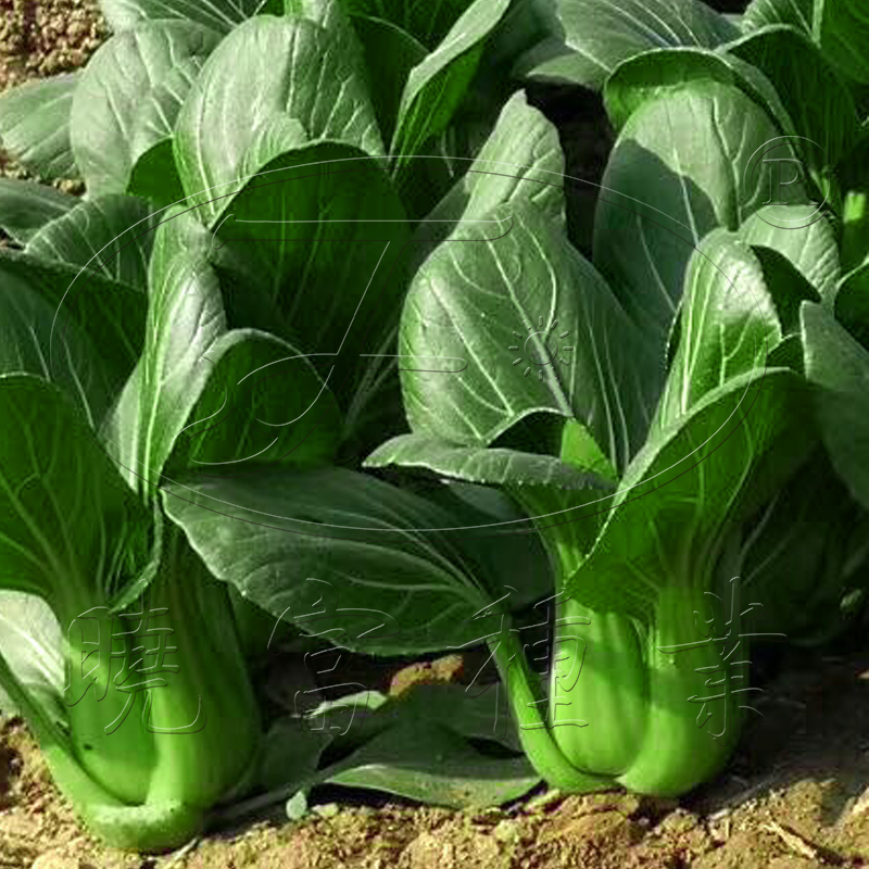 1602151177768037.jpg 02.jpg